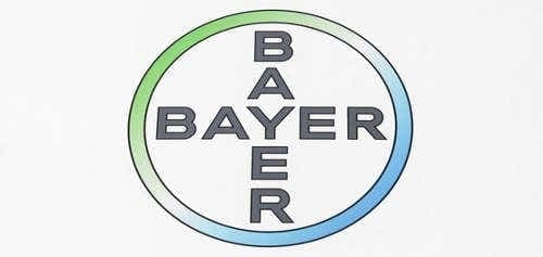 Bayer technikai elemzés