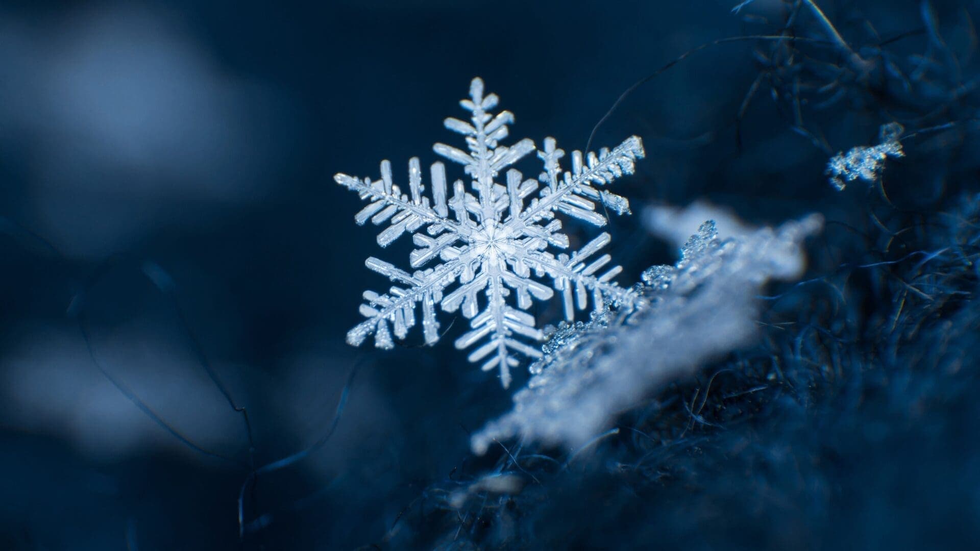 Snowflake – IPO